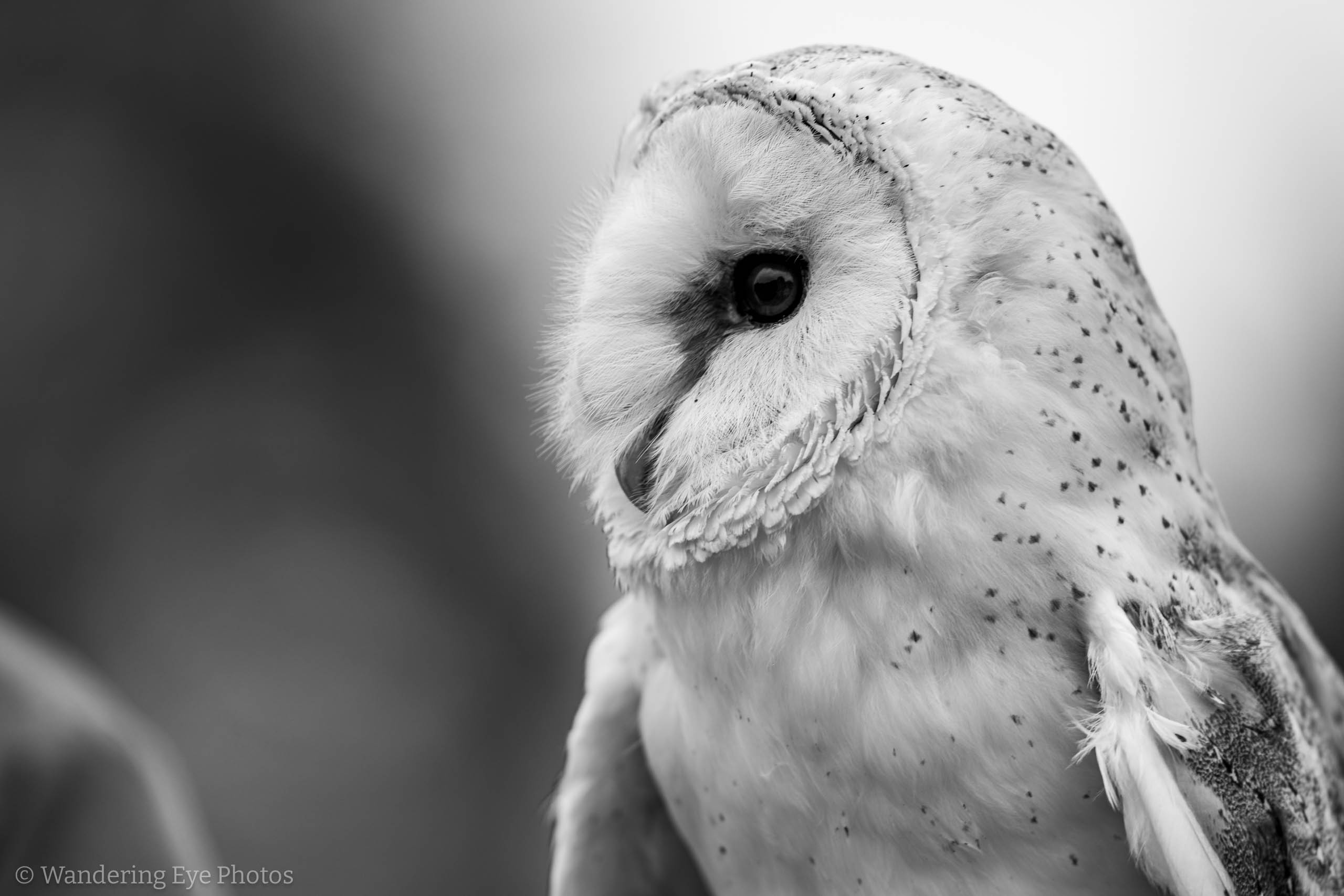 08.08 12.51.12   DSC00411